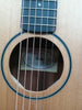 Taylor BT1 Baby Acoustic Guitar