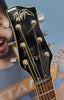 The Animal - Les Paul Style 6 String Electric Guitar - Black
