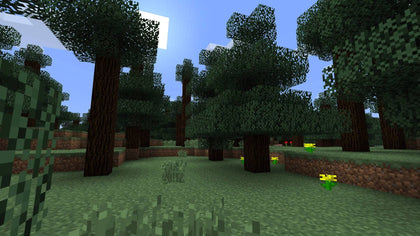 Minecraft - PS3 Game