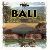 The Bali Gamelans – Bali