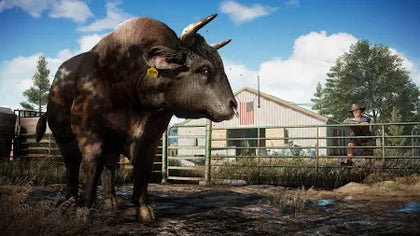 Far Cry 5 ps4