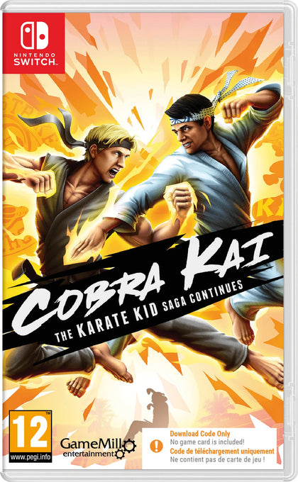 Cobra Kai The Karate Kid Saga Continues Nintendo Switch