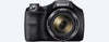 Sony DSC-H300 20.1 MP Bridge Camera