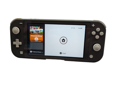 Nintendo Switch Lite Console