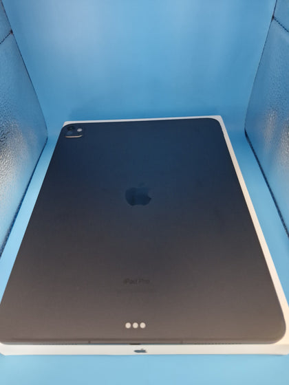 Apple 13