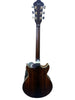 Ibanez AM93ME-NT Artcore Expressionist