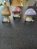 Three Wise Toadstools