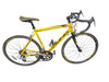Viking XRA Bike
