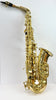 Sonata Alto Saxophone with Hard case