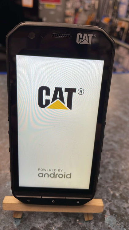 Cat s31