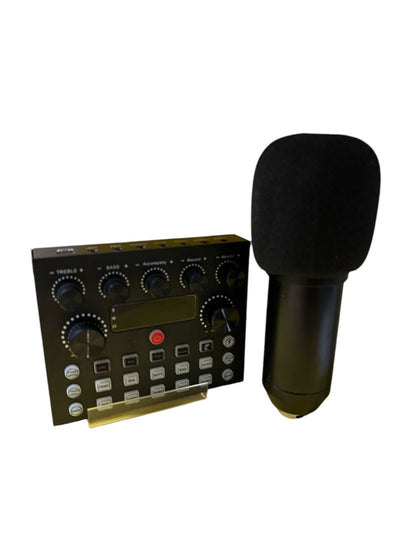 **BOXING DAY SALE** Broadcasting and Recording Microphone