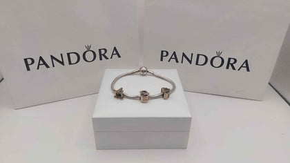 Pandora Bracelet plus 3 Charms 18.1g Boxed