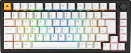 GLORIOUS Gaming GMMK PRO 75% - Modular Mechanical Gaming Keyboard, TKL Size, 1.5kg Frame, Customisable, Fox Switches, Coiled Cable - English QWERTY La