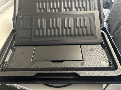 Roli Seaboard Rise 25