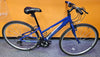 Apollo Excelle Womens Hybrid Bike - Blue - M Frame **Collection Only**
