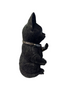 Nemesis Now Cattitude 16.5cm Black Cat Figurine