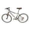TREK 4300 ALPHA