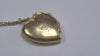 9ct Gold Necklace & Heart Locket
