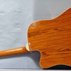 Gears for Music electric guitar (WITH CARRY CASE) ***COLLECTION ONLY***