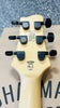 Chapman Guitars ML2 Standard Gold Electric Guitar