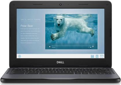 Dell Chromebook 3100 Laptop Portable