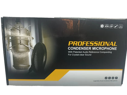 Professional condenser microphone