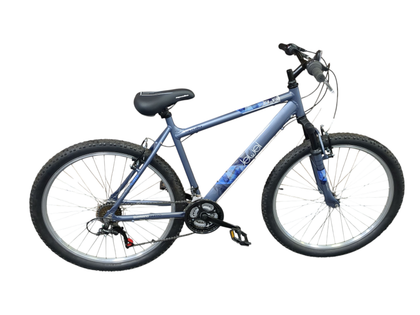 Apollo Jewel Mountain Bike