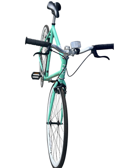 Fixie Mint Cool Green Bike (Collection Only)