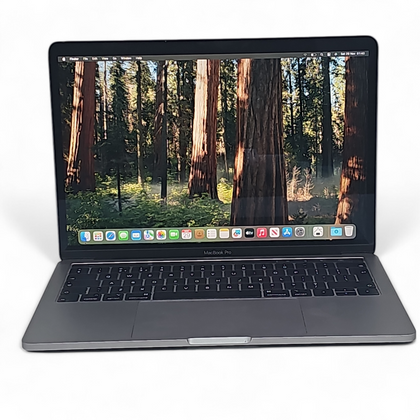 apple MacBook Pro 13