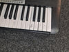 Yamaha YPT260 61-Key Portable Keyboard with Power Adapter