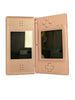 DS Lite Console Pink