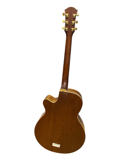 Farida A-22CENS Semi Acoustic Guitar *Collection Only*