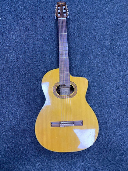 Takamine T30 Guitar