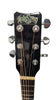 RainSong PMJ-1000 Electro Acoustic with Hardcase