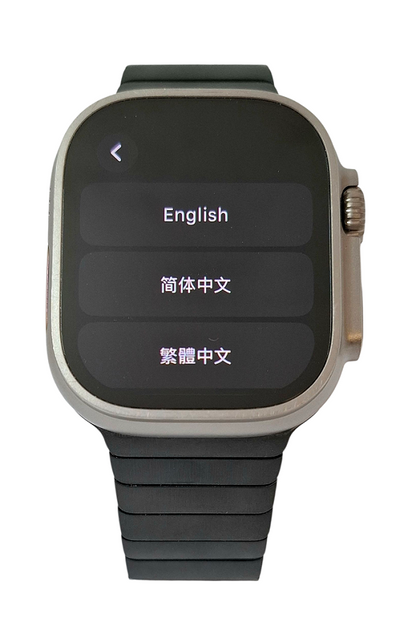 Apple Watch Ultra 2 Natural Titanium + Apple 46mm Slate Link Bracelet