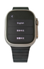 Apple Watch Ultra 2 Natural Titanium + Apple 46mm Slate Link Bracelet