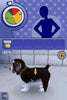 The Sims 2 Apartment Pets Nintendo DS