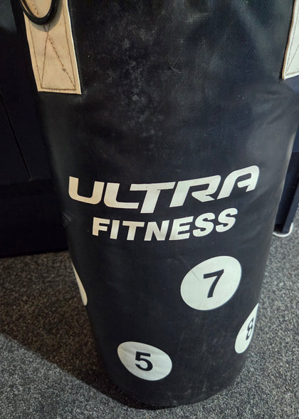 EVERLAST BLOVES AND BAG