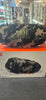 JBL Xtreme 4 Portable Bluetooth Speaker