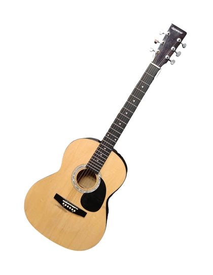 Elevation W-10-NA Acoustic Guitar COLLECTION ONLY