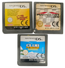 Nintendo DSi Console Bundle