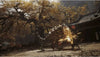 PS5 Black Myth Wukong