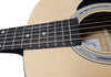 Martin Smith Acoustic Guitar (W101-NP-K) - Natural
