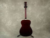 ** Collection ** sx-sd2-vs acoustic Guitar