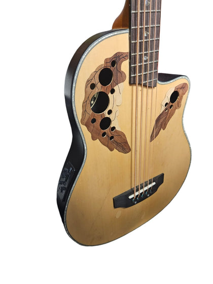 **JANUARY SALE!** Gear 4 Music 5 String Electro Acoustic Bass