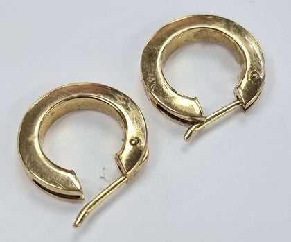 9ct Yellow Gold Earrings