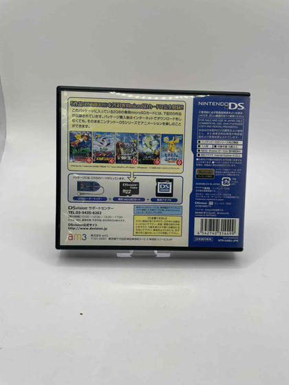 POKEMON DS VISION