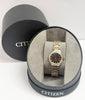 Citizen Ladies Eco-Drive Two Tone Bracelet Watch
