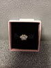 Pandora Paw Print Charm