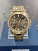 Hugo Boss Troper Gold Steel Strap HB.487.1.34.3874